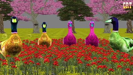 Animals Cartoons Finger Family Children Nursery Rhymes | Animals Finger Family Rhymes for