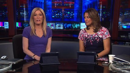 Fox tests positive for rabies after biting elderly woman