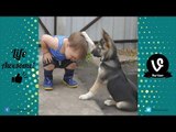 TRY NOT TO LAUGH or GRIN - Funny Kids Fails Compilation 2016 Part 9 by Life Awesome