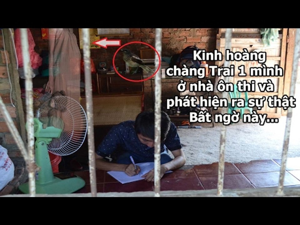 Kinh hoàng Chàng trai Một Mình ở nhà ôn thi và Phát hiện ra sự thật Bất Ngờ này