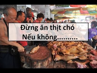 Nhân quả báo ứng hơn 50 quán thịt chó tại Hà Nội || Tâm Linh 24h