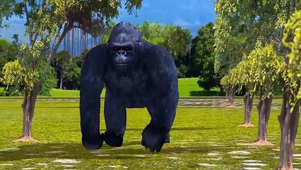 3D animated Colors Gorilla Finger family - Animals Dinosaur Daddy Finger family Rhymes for