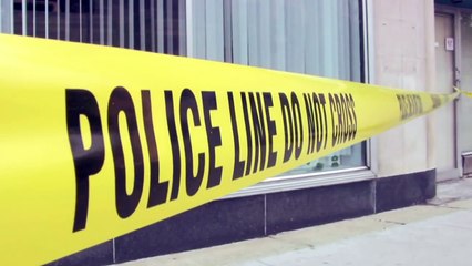 Seri Cinayetler – American Romance (2016) Fragman