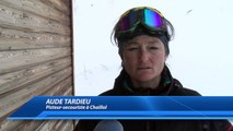 Hautes-Alpes : elle est la seule femme pisteur-secouriste à Chaillol