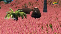 Jungle Animals Finger Family Nursery Children 3d English Animated Rhymes