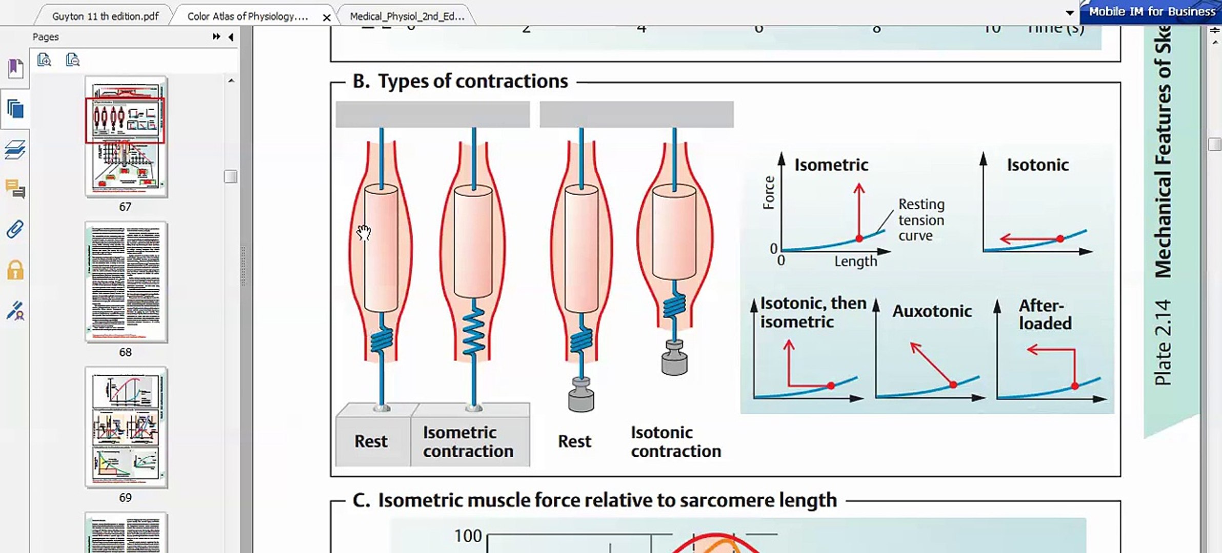 Isotonic Contraction Diagram