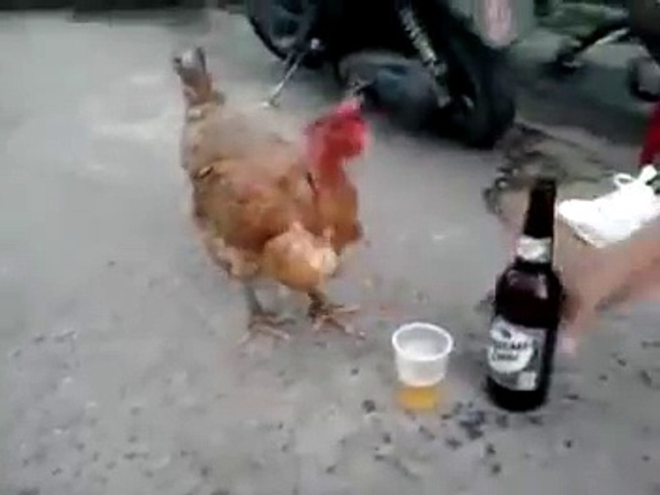 Sharabi Murga