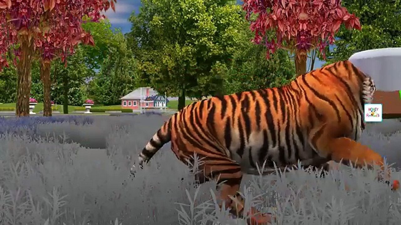 Wild Animals Need Short Transformed Angry Birds Giant Bad Piggies Finger Family Nursery Rhymes