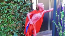 Pink Spidergirl Vs Joker Toilet Battle! w/ Spiderman Frozen Elsa Hulk Funny Superhero Movi