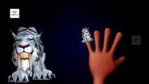 Tiger Animal Finger Family - Finger Family Song - 3D Animation Nursery Rhymes & Songs for Children