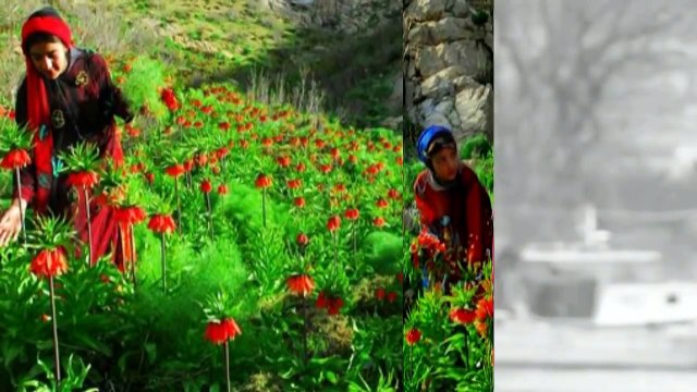 En güzel Kürtçe Türküler Yeni Mix 2016