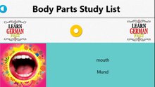 Leanr Body Parts in Deutsch/German