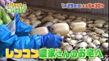 「ヤバい! うまい!!」 レンコンの収穫量日本一の町 茨城県土浦で絶品グルメに舌鼓♪ 1/29(日)『バナナマンのせっかくグルメ !』【TBS】