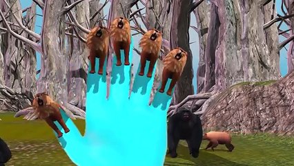 Lion Top 10 Animated Finger Family Rhymes For Children 3D Songs | Top Animal Rhymes