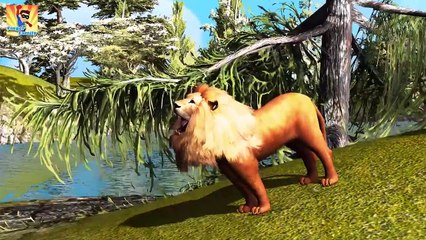 Animals Rhyme | Shark Python Alligator Finger Family Collection