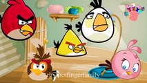 Angry Birds Finger Family Children | Nursery Rhymes Dancing | Finger Family HD | KidsW