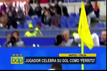 VIDEO: bloopers y curiosidades en el fútbol internacional