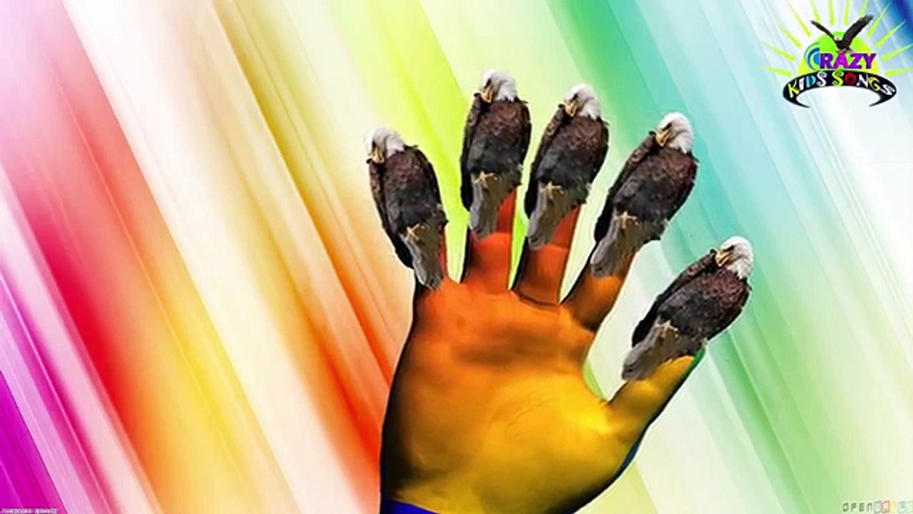 Elephant Animals Finger Family Children Rhymes 3D Animation English Kids Songs Videos