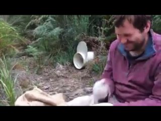 La libération d'un diable de Tasmani ene va pas se passer comme prévu !