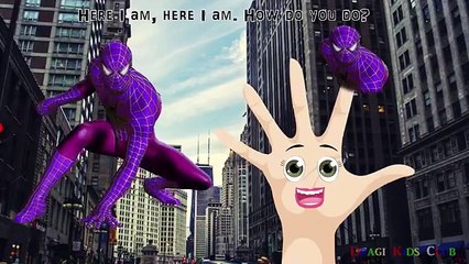 Finger Family Crazy Spiderman Nursery Rhymes | Spiderman Finger Family Song for Children