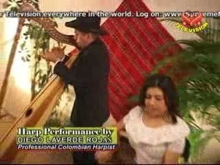 Colombian Harp: Music of the Plains