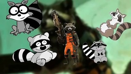 Finger Family Daddy Finger Nursery Rhymes for Children, Kids and Toddlers RACCOON!