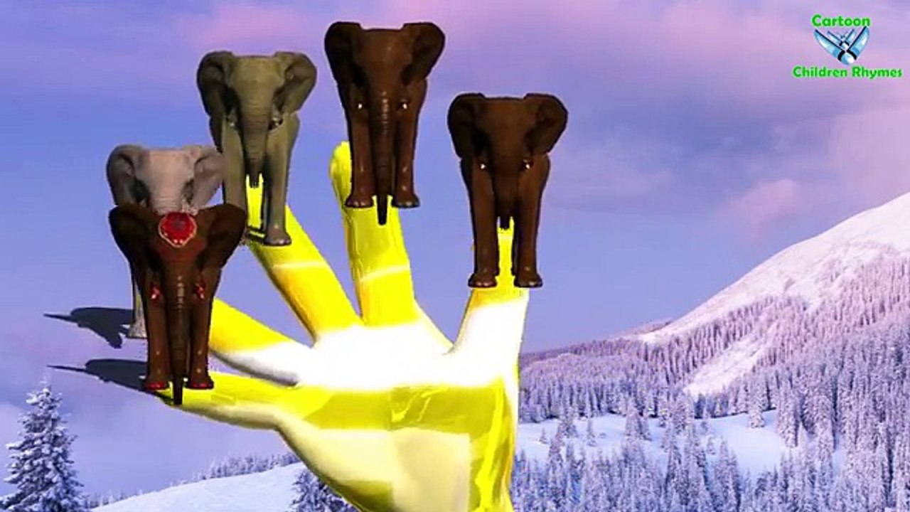 Animals Rhymes