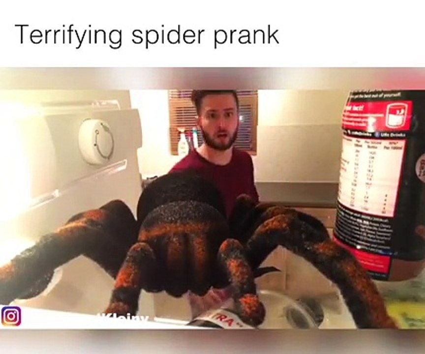 Terrifying spider prank - Woody & Kleiny