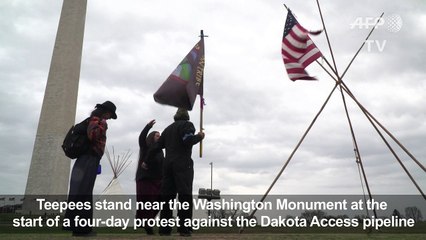 Teepees constructed on National Mall in protest of pipeline