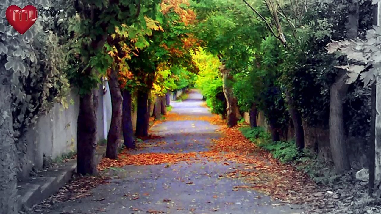 Nur Azak - Ayrılığı Silde Gel (Nostaljik Şarkılar HQ) Mu©o