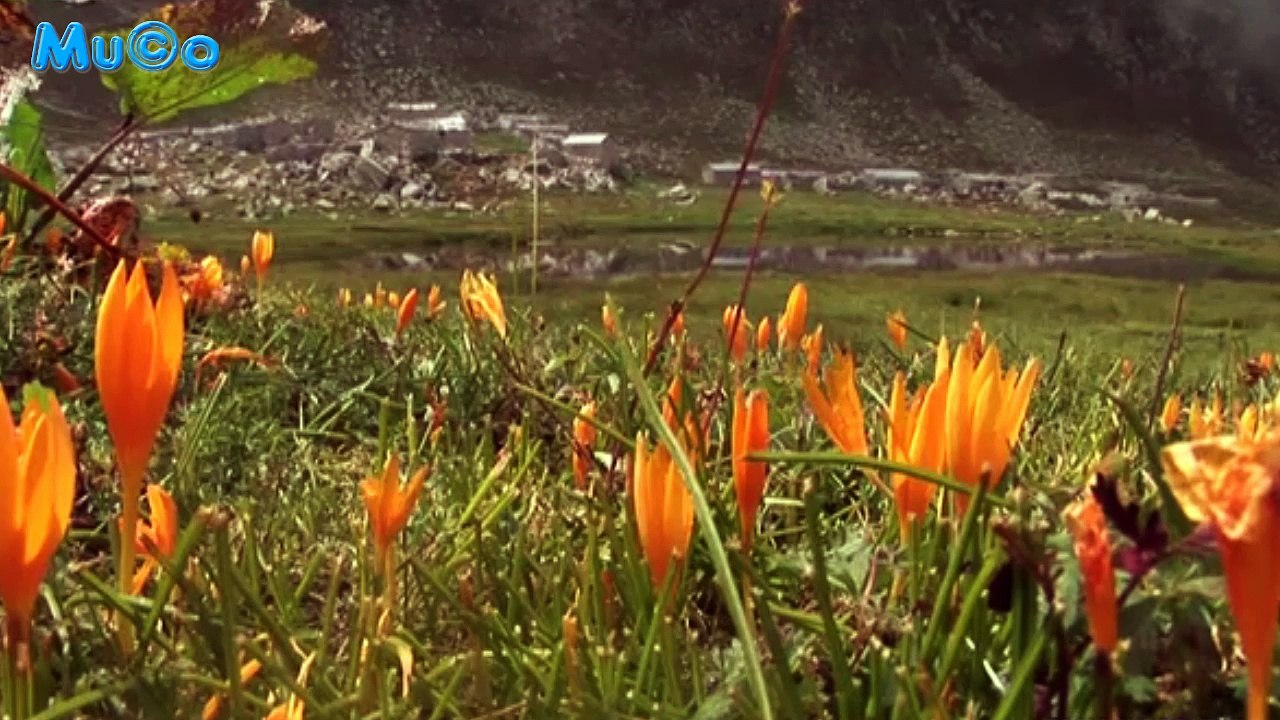 Otantik Karadeniz Müzikleri 2 (Enstrümantal Karadeniz Havaları HD) Mu©o