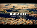 Tequila in :60 - Liquor.com