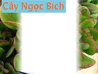 MONEY INTO THE STATE - If You Plant 10 Kinds of Plants