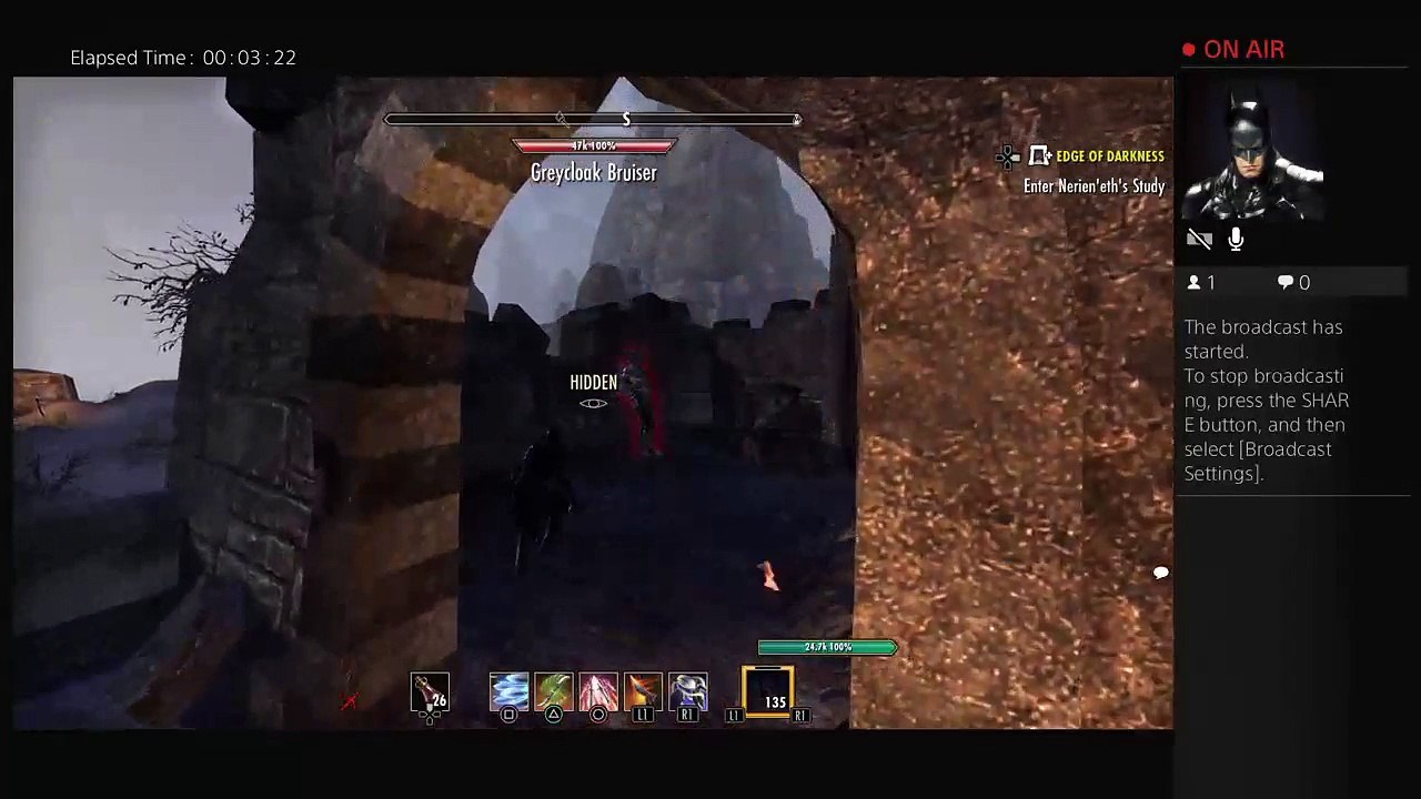 mikecaseybatman's Live PS4 Broadcast (27)