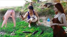 Beautiful Girl Cooking a Big Fish in My Village - Trying To cook Fish in Rice Field