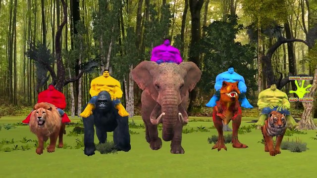 SuperHeroes Finger Family Rhymes | Animals Finger Family Songs | SPiderman Hulk Dinosaurs