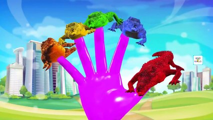 Crocodiles Vs Cat Finger Family Song Nursery Rhymes | Finger Family Animals Nursery Rhymes