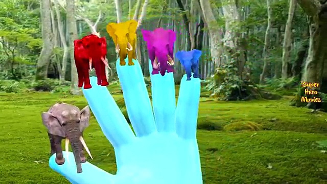 Colours Animals Finger Family Songs For Children | Elephant Dinosaurs Godzilla Finger Family Rhymes