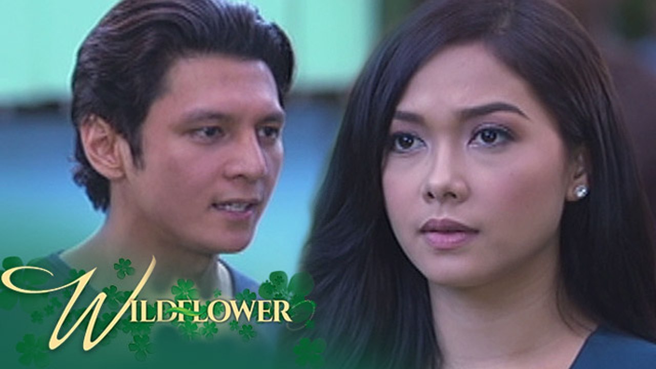 Wildflower: Diego tries to prick Ivy’s conscience | EP 17