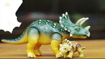 COLORING dinosaurs T-REX, Stegosaurus - Funny Dinosaur Coloring Videos For Kids 2016