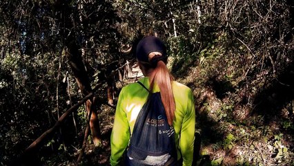 Los Venados Parque Nacional El Ávila Warairarepano Caracas Venezuela