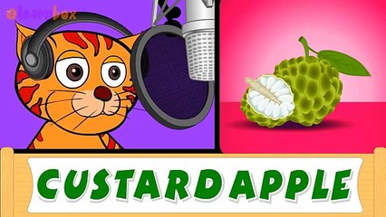 Colors & Shapes DVD - 1 Hour, Super Simple Colours, Little Baby Songs, Kids Learn Nursery