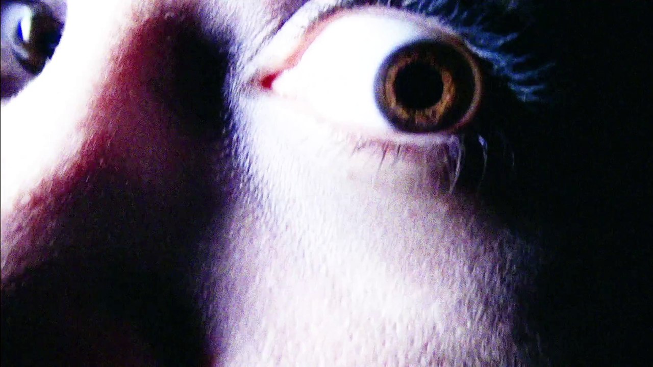THE DARK TAPES