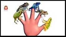 Frog Finger Family And More Finger Finger Family Songs | Nursery Rhymes Collection | Kids