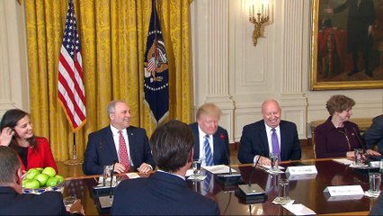 US: Republicans make gains to replace Obamacare