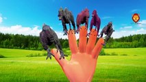 Dinosaurs Finger Family Songs | Dinosaurs Cartoon Nursery Rhymes Collection | T-REX Cartoo