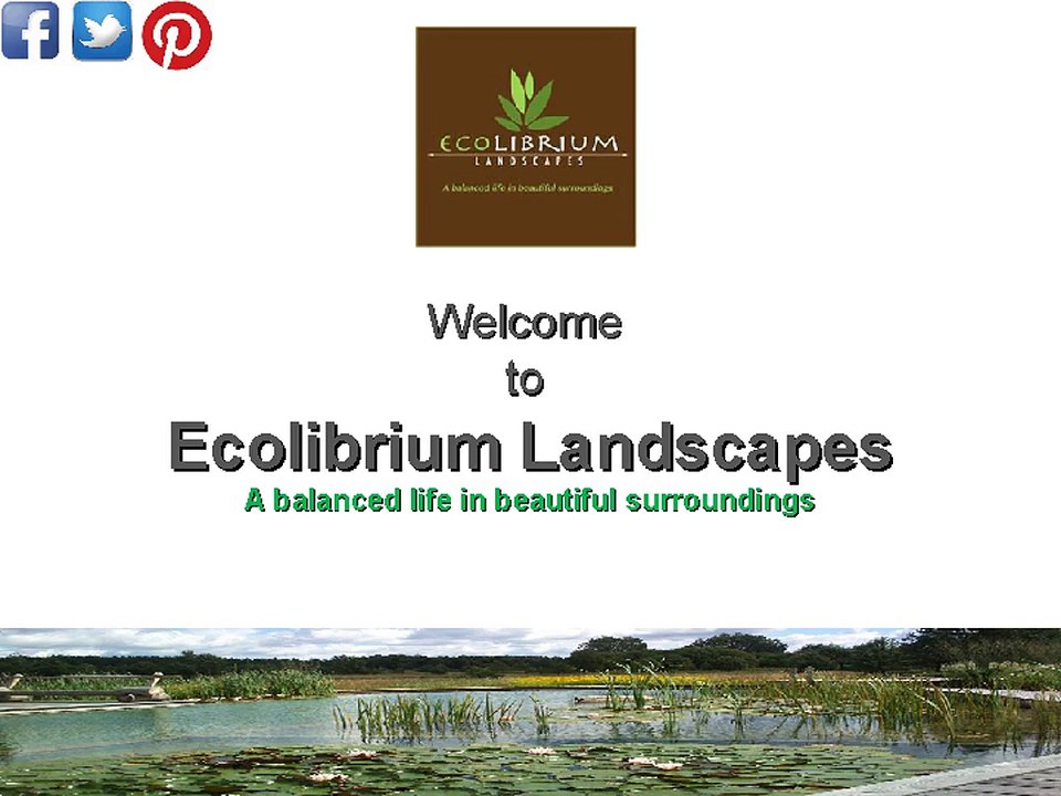 Valley Garden Landscapes | Native Landscape | ECOlibrium Landscapes
