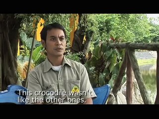 Crocodile Death Roll Untamed and Uncut,Most Amazing Animal:animal attack  trailer, animal attack