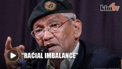 Rtd brig-gen concerned China investment may lead to racial imbalance