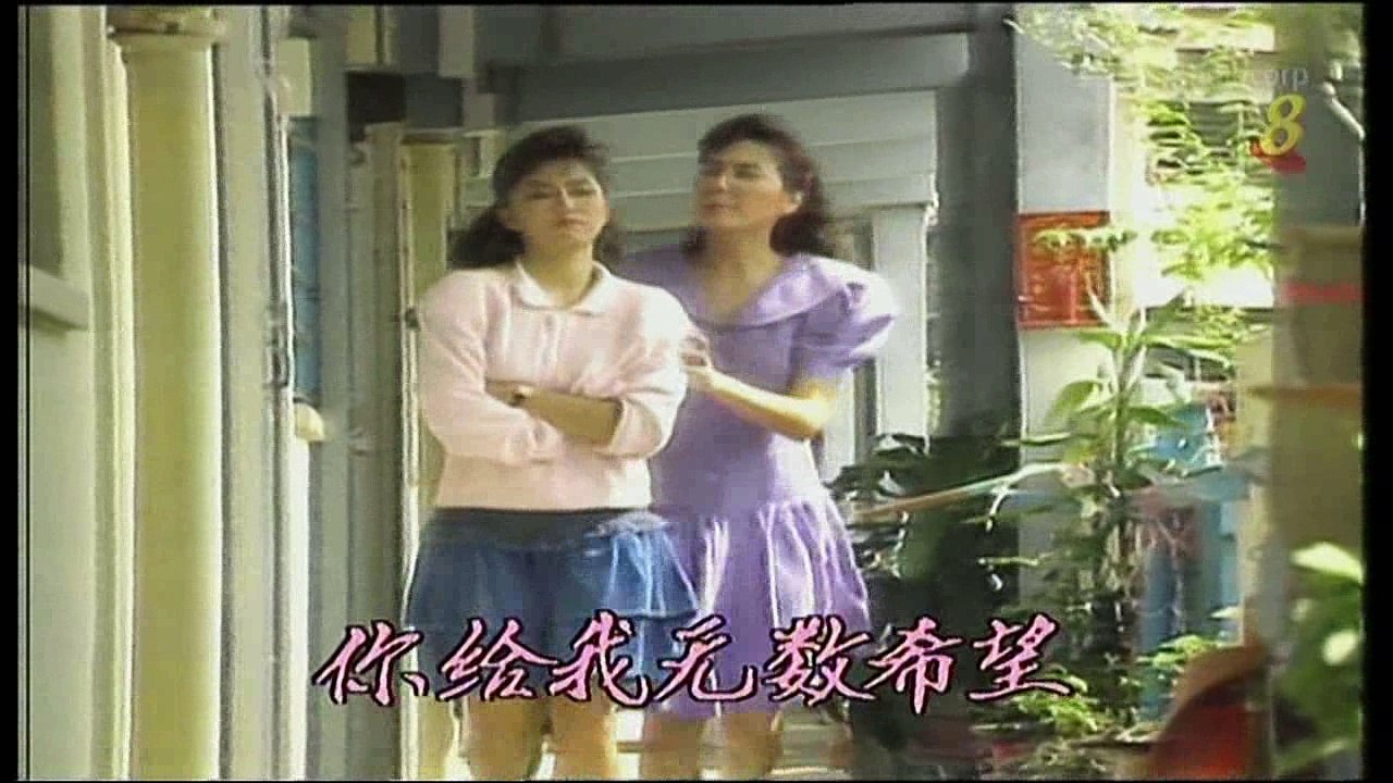 1989 – “A Mother's Love” Theme Song – 《亲心唤我心》主题曲 – 《母亲》 – Sung by Zhang Piao Fang – 由张飘方演唱.mp4